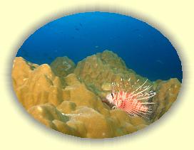 20111116_152 * 2462 x 1846 * (2.65MB)