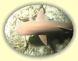 20111116_186 * 2120 x 1590 * (2.43MB)