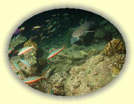 20111116_187 * 2224 x 1668 * (2.85MB)