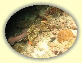 20111116_198 * 2529 x 1897 * (3.49MB)