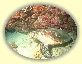 20111116_210 * 2149 x 1612 * (2.89MB)