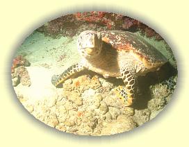 20111116_211 * 2112 x 1584 * (2.52MB)