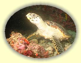 20111116_215 * 2364 x 1773 * (3.09MB)