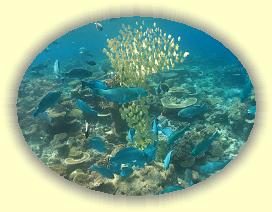 20111117_007 * 2500 x 1875 * (3.23MB)