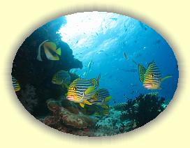 20111117_023 * 2861 x 2146 * (3.5MB)