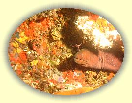 20111117_054 * 3072 x 2304 * (3.39MB)