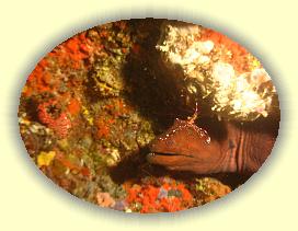 20111117_058 * 2351 x 1763 * (2.48MB)