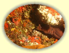 20111117_060 * 2799 x 2099 * (3.78MB)