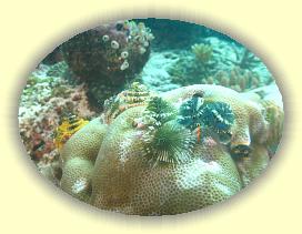 20111117_084 * 1755 x 1316 * (1.57MB)