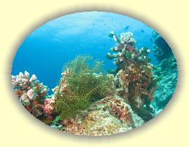 20111117_086 * 2560 x 1920 * (3.48MB)