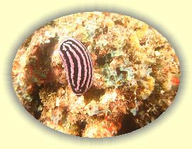 20111118_024 * 2187 x 1640 * (2.62MB)