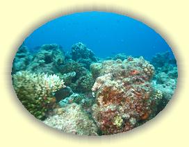 20111118_040 * 3072 x 2304 * (2.64MB)