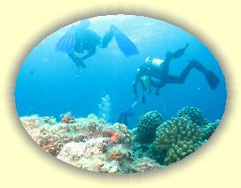 20111118_042 * 2452 x 1839 * (2.56MB)