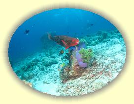 20111118_079 * 3072 x 2304 * (2.97MB)