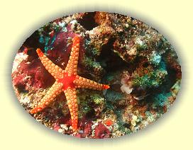 20111118_095 * 2308 x 1731 * (2.99MB)