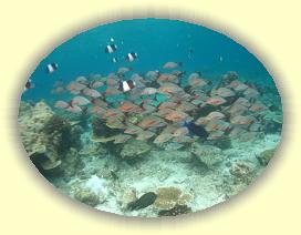 20111118_140 * 2726 x 2051 * (3.12MB)