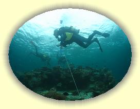 20111118_144 * 2830 x 2129 * (2.85MB)