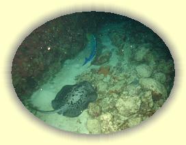 20111118_220 * 2473 x 1861 * (3.37MB)