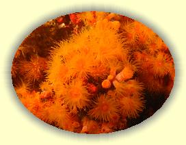 20111118_240 * 2542 x 1913 * (3.01MB)