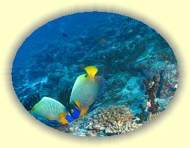 20111119_015 * 1943 x 1462 * (2.4MB)