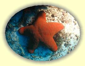 20111119_021 * 2871 x 2160 * (4.05MB)