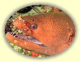 20111119_041a * 1102 x 829 * (420KB)