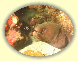 20111119_042 * 3072 x 2304 * (2.99MB)