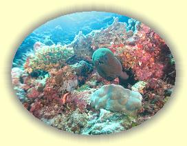 20111119_056 * 3072 x 2304 * (3.32MB)