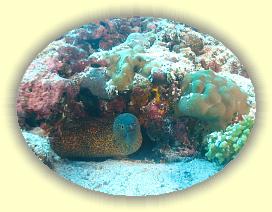 20111119_065 * 2350 x 1768 * (2.98MB)