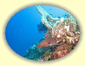 20111119_084 * 3072 x 2304 * (2.78MB)