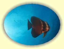 20111119_125 * 2738 x 2060 * (2.45MB)