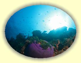 20111119_140 * 3072 x 2304 * (2.2MB)