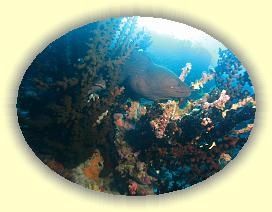 20111119_148 * 3072 x 2304 * (3.24MB)