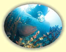 20111119_149 * 3072 x 2304 * (3.17MB)