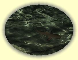 20111119_202 * 3072 x 2304 * (3.72MB)