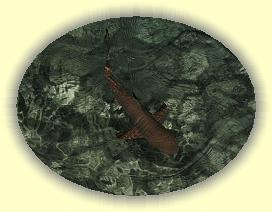 20111119_203 * 3072 x 2304 * (4.07MB)