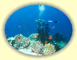 20111120_009 * 3072 x 2304 * (2.64MB)