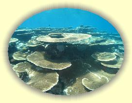 20111120_027 * 3072 x 2304 * (3.14MB)