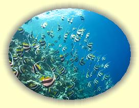 20111120_037 * 2751 x 2070 * (3.52MB)