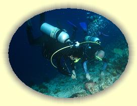 20111120_091 * 2513 x 1891 * (3.24MB)