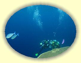 20111120_111 * 2611 x 1965 * (3.67MB)