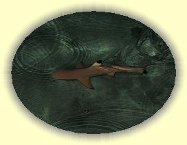 20111121_014 * 3072 x 2304 * (3.75MB)