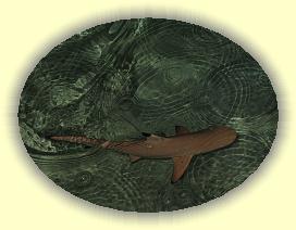 20111121_018 * 3072 x 2304 * (4.02MB)