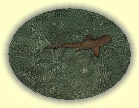 20111121_020 * 3072 x 2304 * (4.21MB)