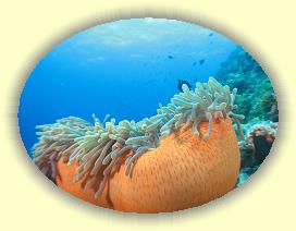 20111121_040 * 3072 x 2304 * (2.41MB)