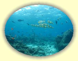 20111121_048 * 2425 x 1825 * (2.73MB)