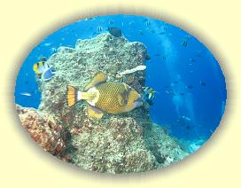 20111121_054 * 3072 x 2304 * (3.23MB)