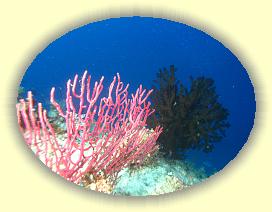 20111121_070 * 3072 x 2304 * (2.85MB)