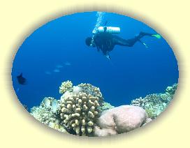 20111121_096 * 2856 x 2149 * (3.17MB)