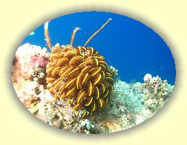 20111121_111 * 3072 x 2304 * (3.33MB)